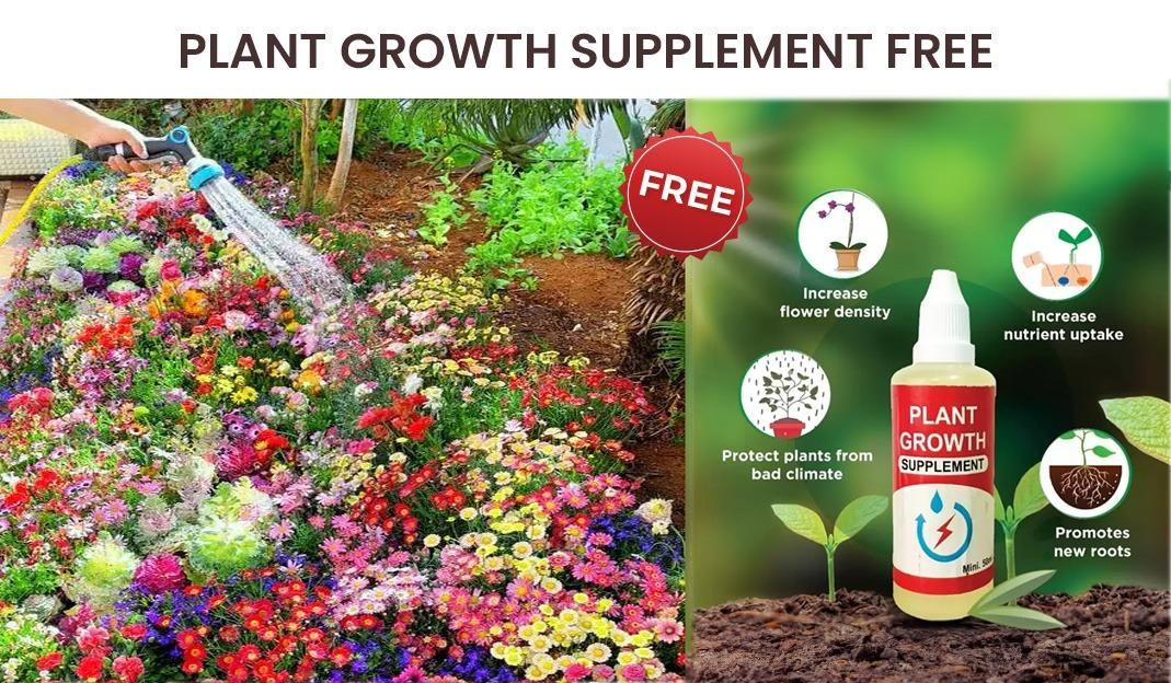 Imported Colorful Flower Seeds | FREE Plant Growth Supplement