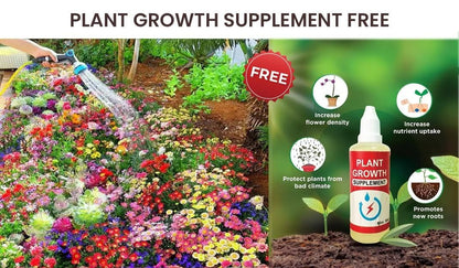 Imported Colorful Flower Seeds | FREE Plant Growth Supplement